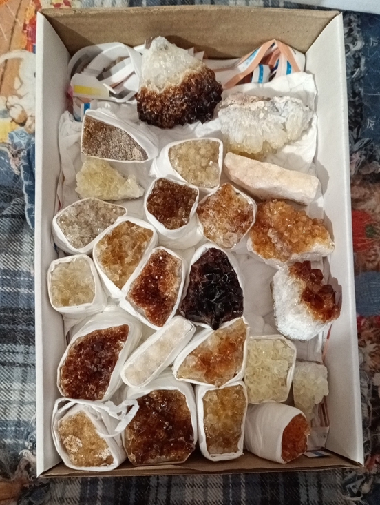 Other - Citrine Cluster Lot Of 24 Crystals